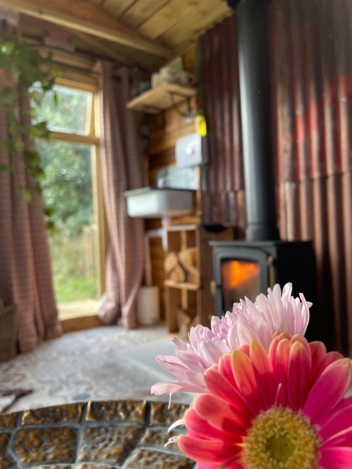 Pear Tree Hut At Carr House Farm *