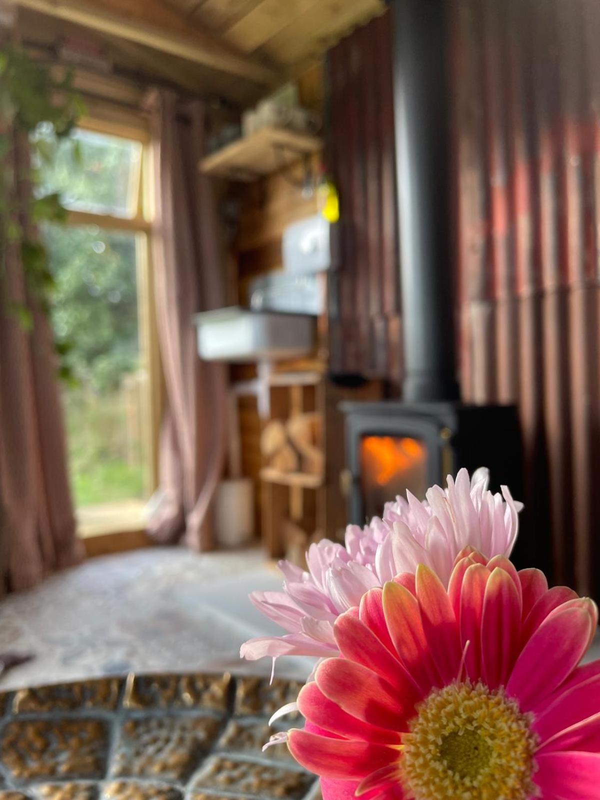 Pear Tree Hut At Carr House Farm Scarborough